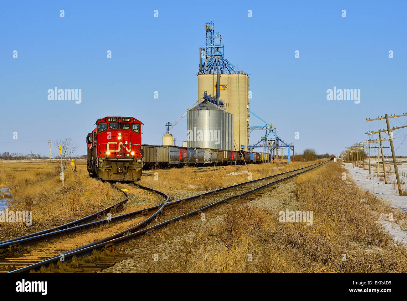 Ein Canadian National Güterzug laden Korn Autos Stockfoto
