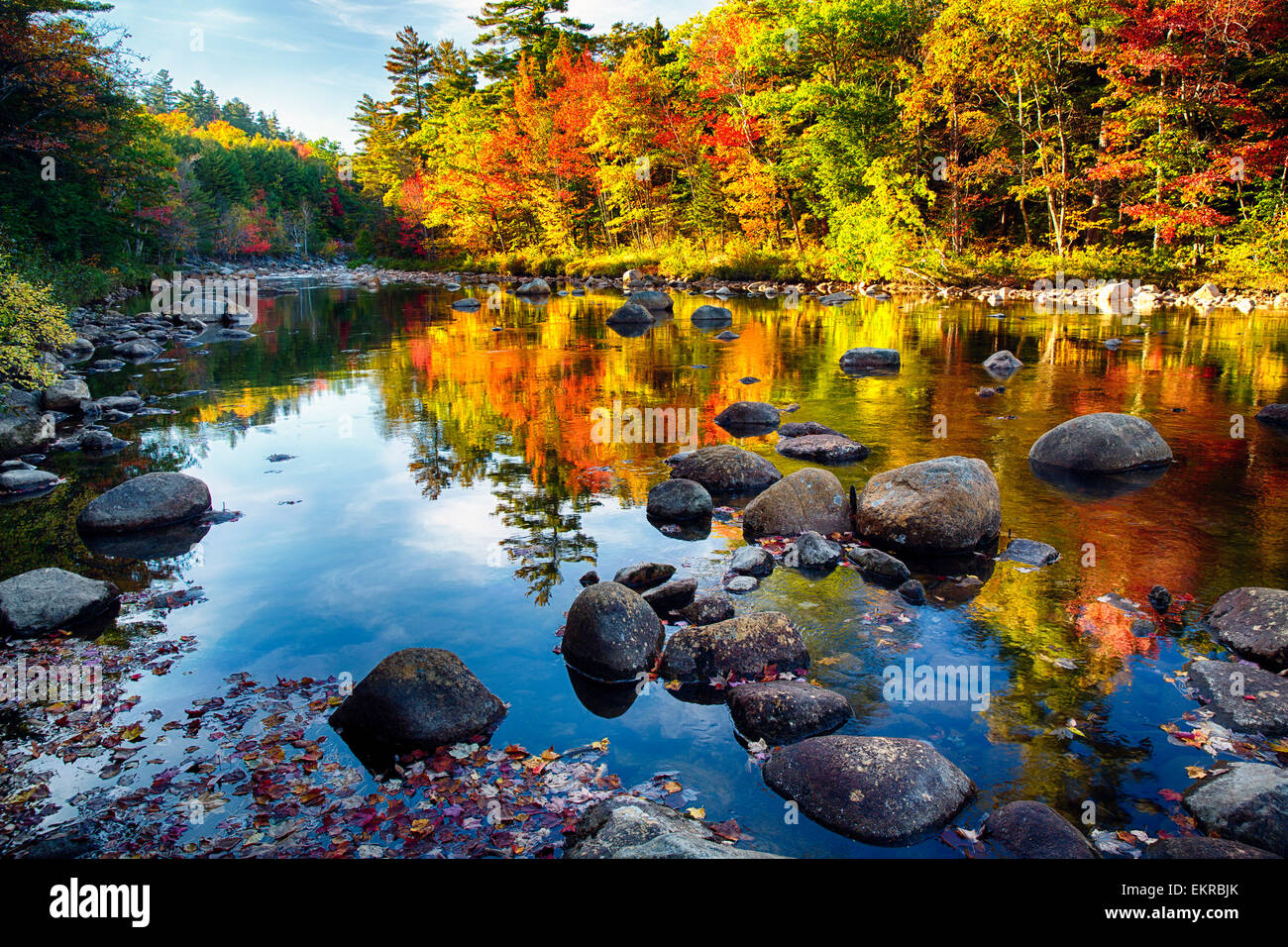 Bunte Bäume entlang des Flusses Swift White Mountains National Forest, New Hampshire Stockfoto