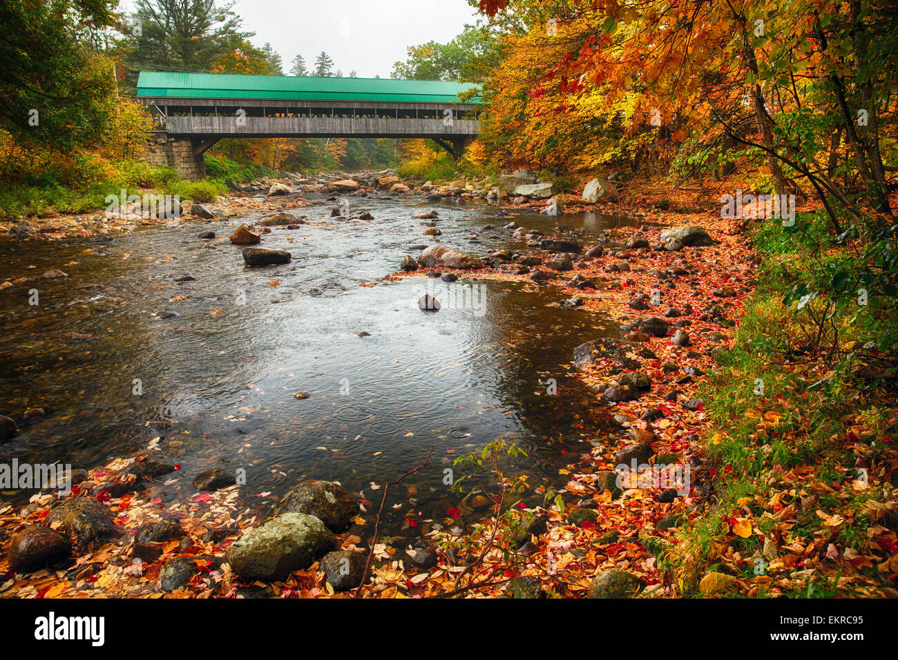 Niedrigen Winkel Blick auf eine überdachte Brücke mit Herbstlaub, Jackson, Carrol County, New Hampshire Stockfoto