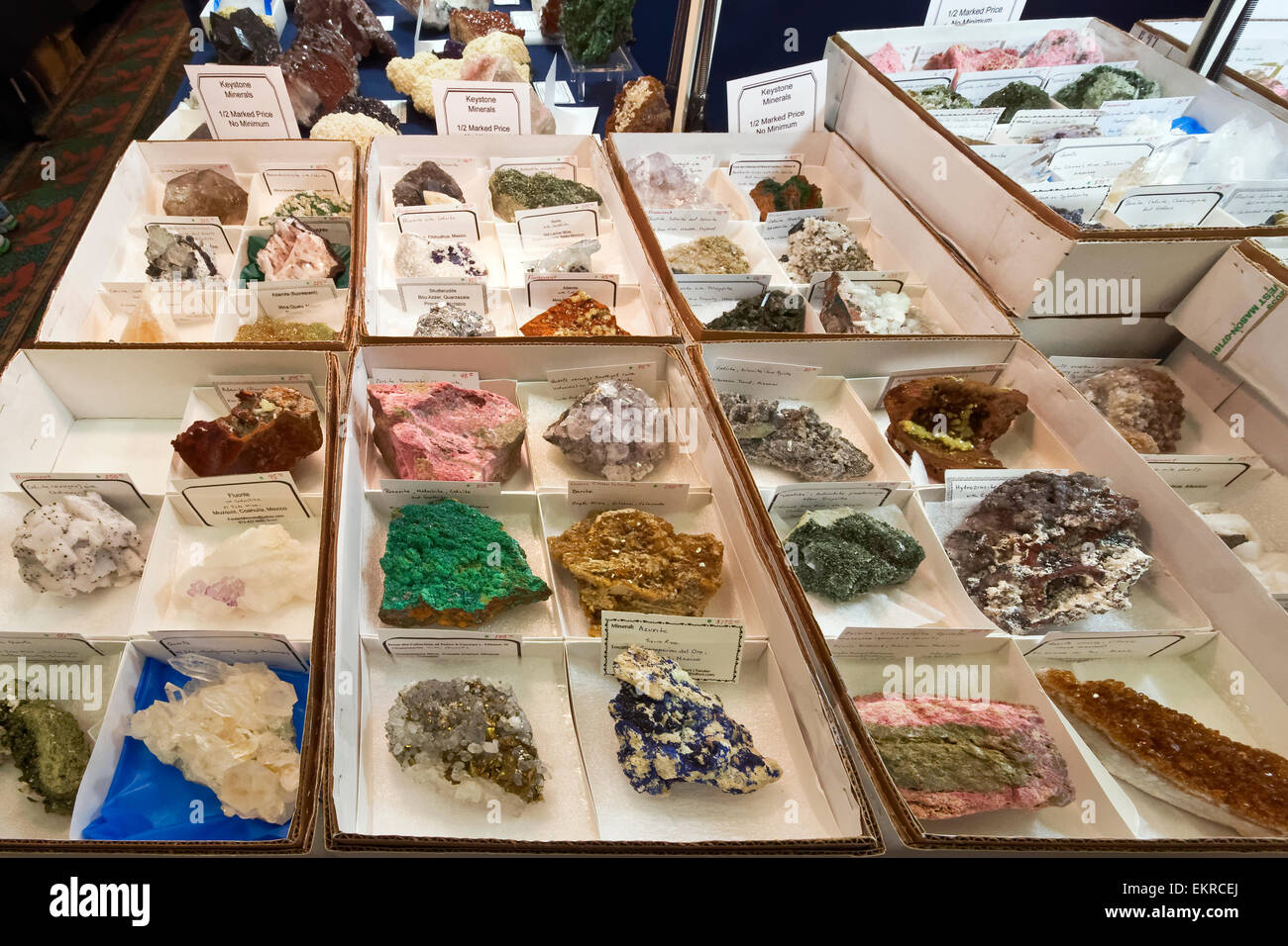 Gesteine und Mineralien zum Verkauf, Tucson Gem and Mineral Show, Tucson, Arizona Stockfoto
