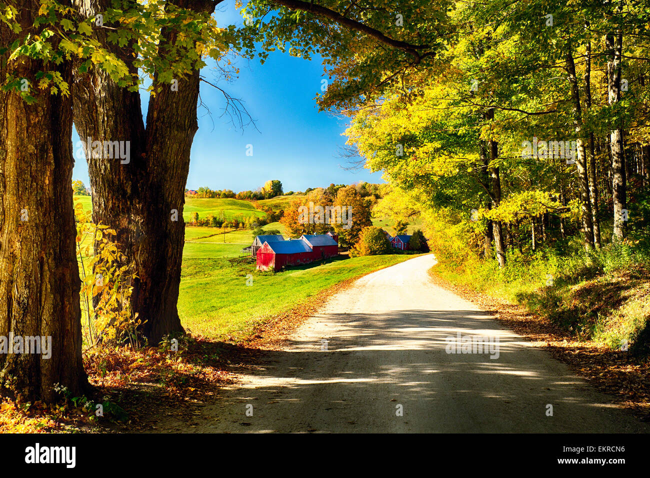 Blick auf landwirtschaftlichen Gebäuden an eine Landstraße, Jenne Farmen, Lesung, Vermont, USA Stockfoto