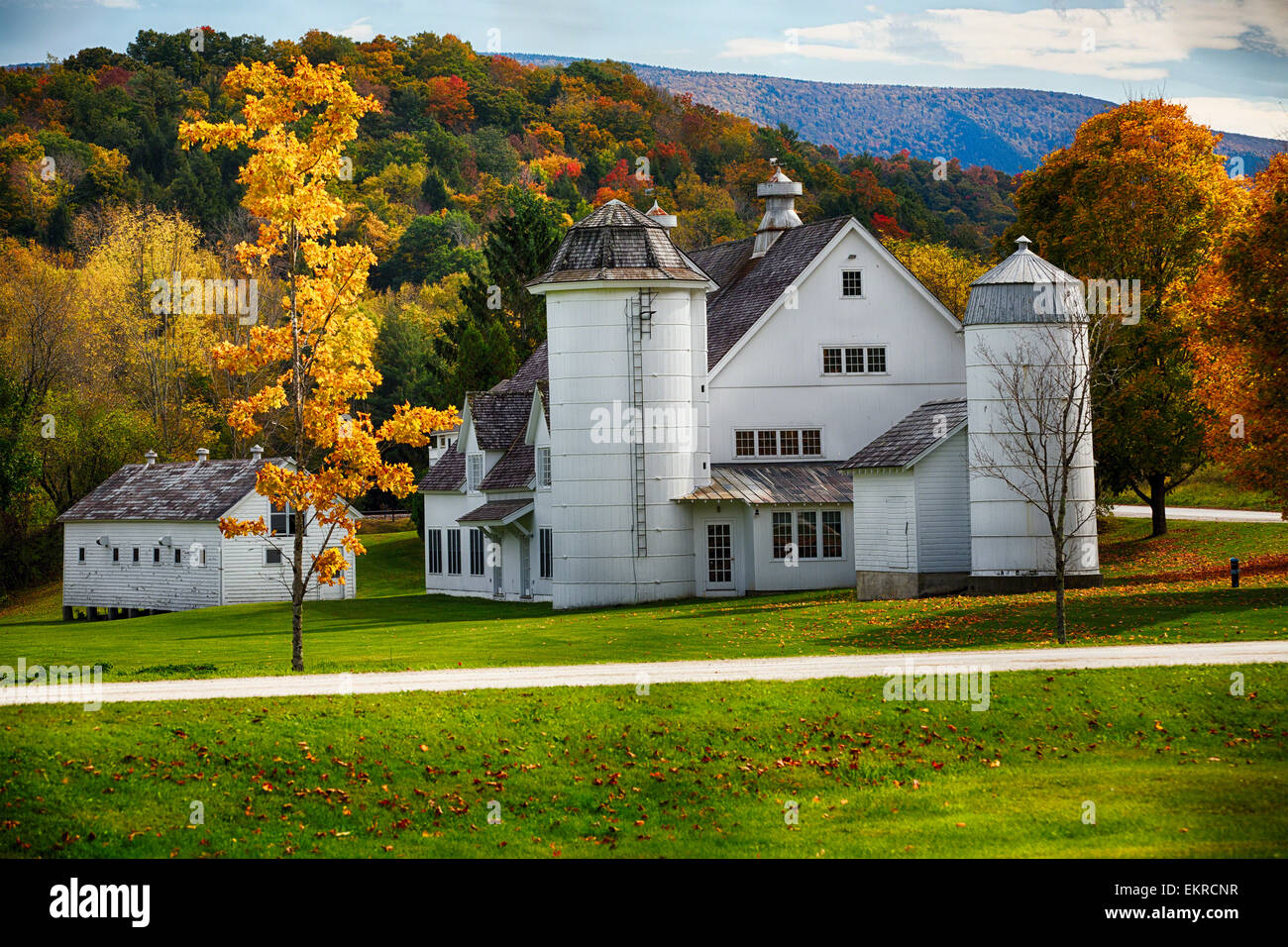 Niedrigen Winkel Blick auf ein landwirtschaftliches Gebäude im Herbst, Arlington, Grafton County, Vermont Stockfoto
