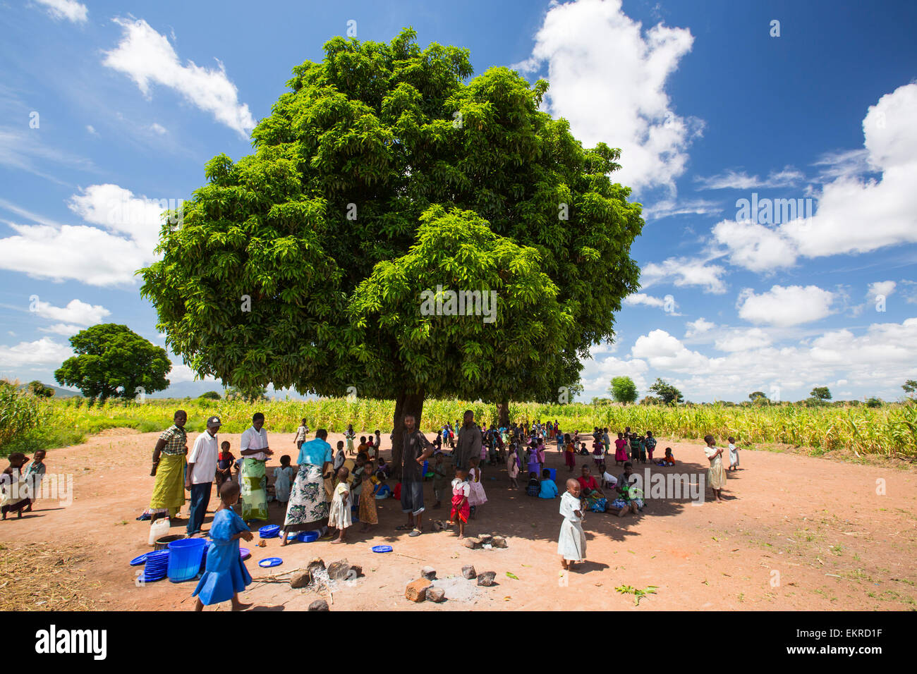 Mitte Januar 2015 ein Zeitraum von drei Tagen der übermäßige regen die kleinen armen afrikanischen Land Malawi beispiellose Überschwemmungen gebracht. Fast ein Viertel von 1 Million Menschen vertrieben, 64.000 Hektar Land verwüstet und mehrere hundert Menschen getötet. Diese Aufnahme zeigt Vertriebene in Baani Flüchtlingslager in der Nähe von Phalombe, schützt vor der Hitze der Sonne. Stockfoto