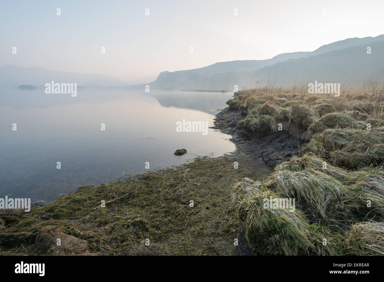 Am frühen Morgennebel verwischt den Horizont mit Torf, enthüllt am Rand Wassers - Derwentwater im englischen Lake District Stockfoto