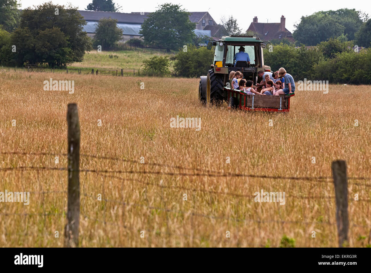 Einnahme von Bauernfamilien auf einem Sommer-Traktor fahren durch Kent Ackerland; Kent, England Stockfoto