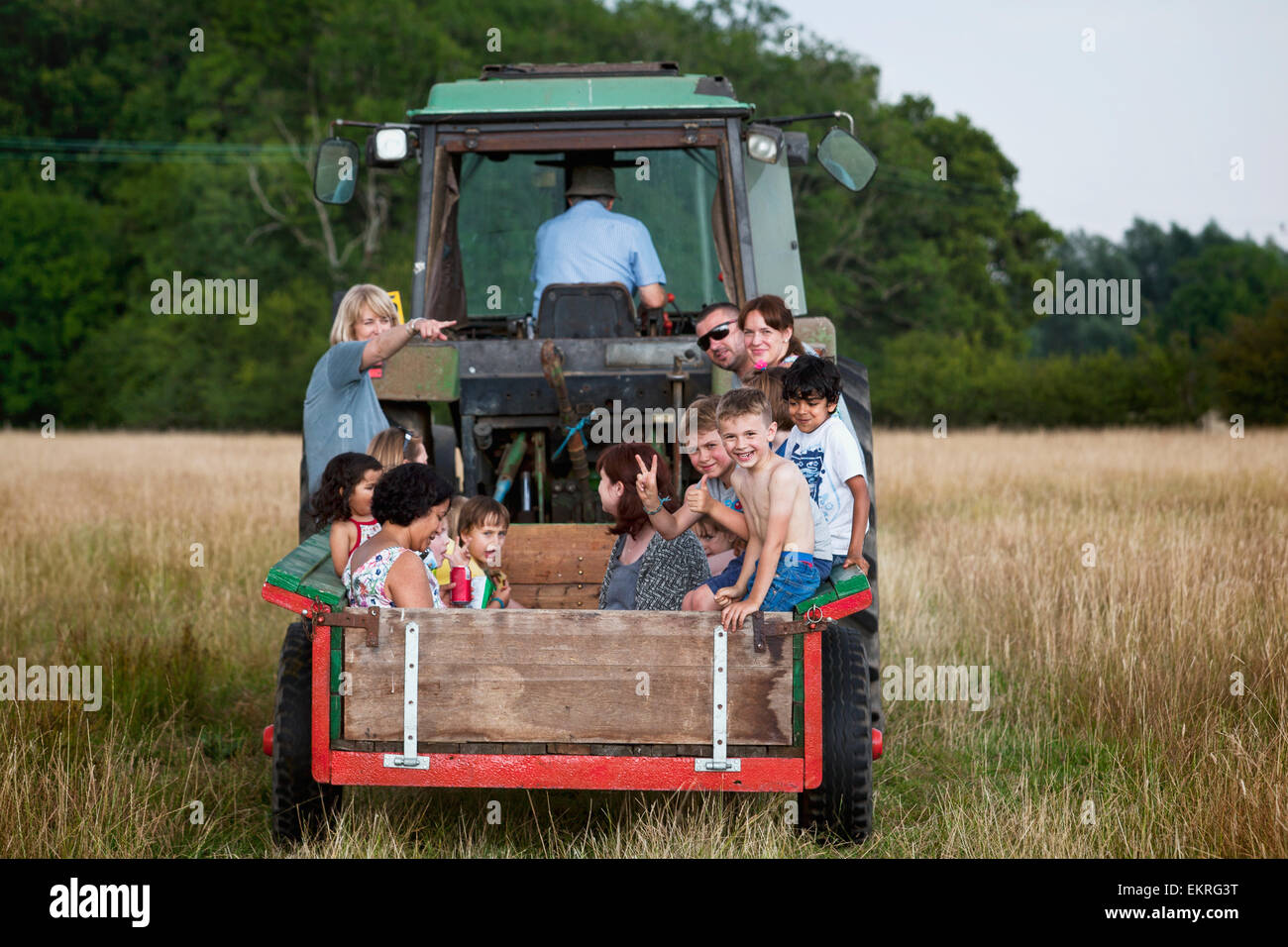 Einnahme von Bauernfamilien auf einem Sommer-Traktor fahren durch Kent Ackerland; Kent, England Stockfoto