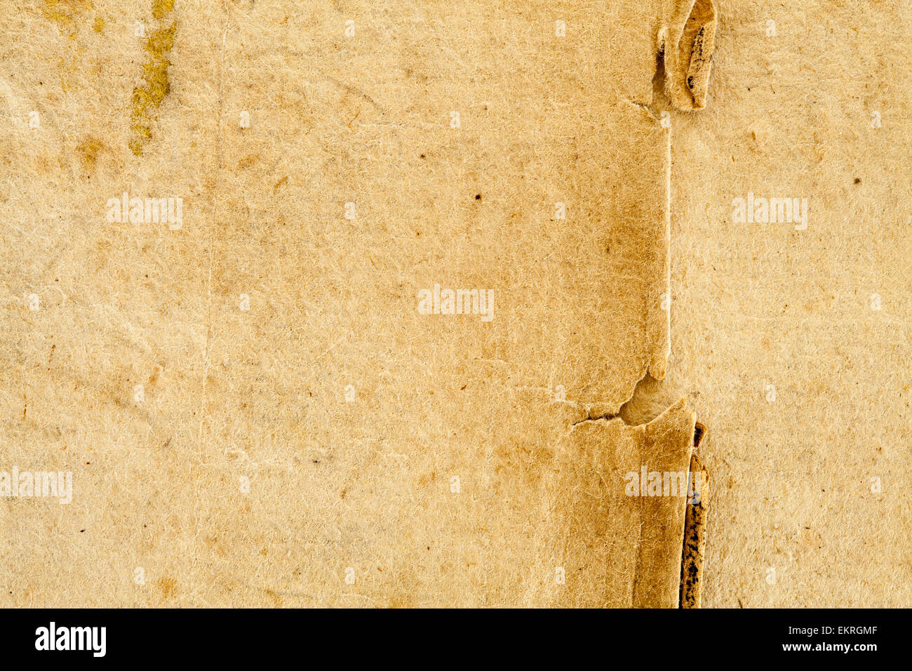 1614 Vintage Antik Retro-französische Pergament Papierhintergrund in Beige Tan Stockfoto