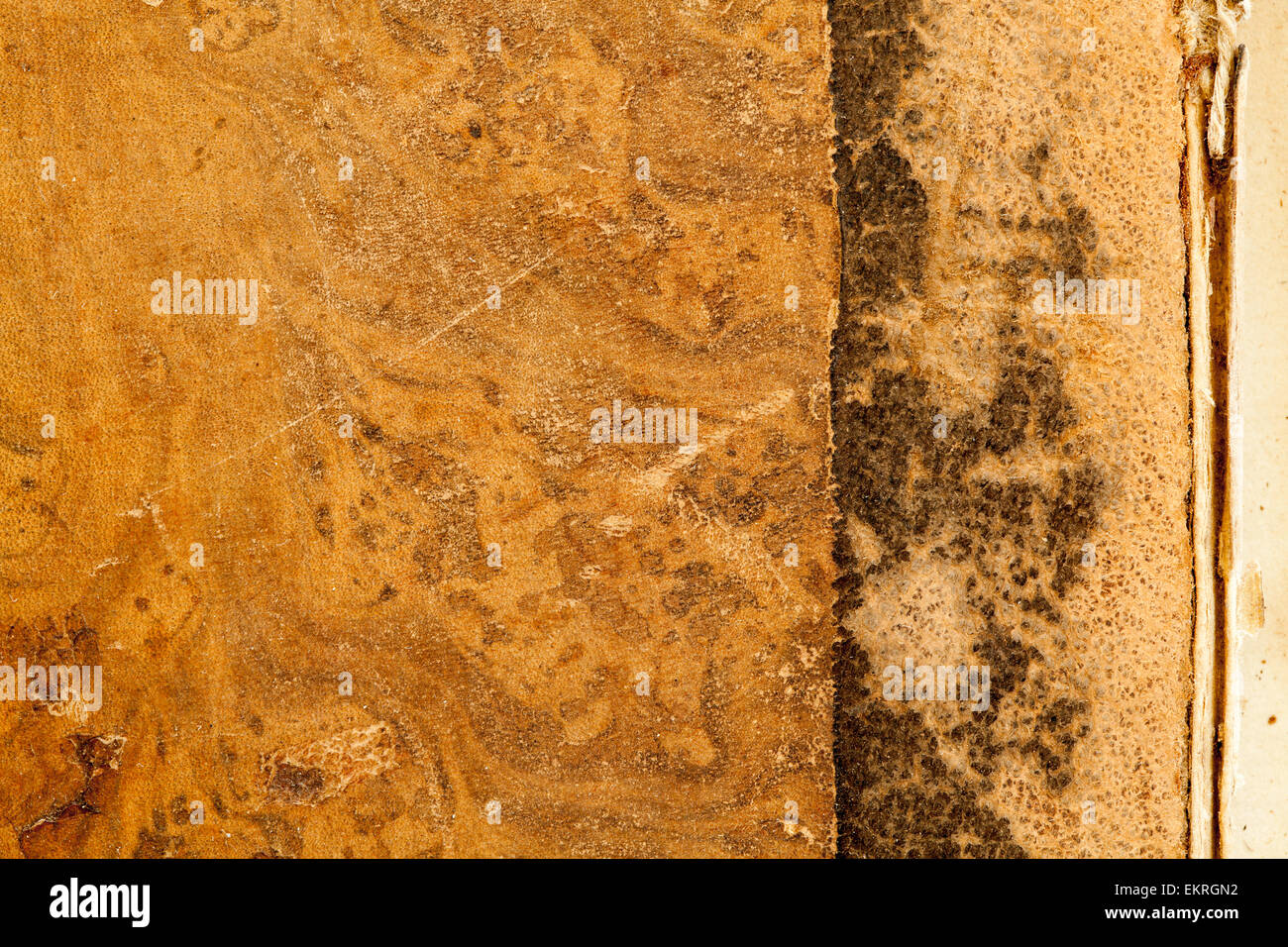 Braun Tan Leather Book Cover Textur Hintergrund Stockfoto