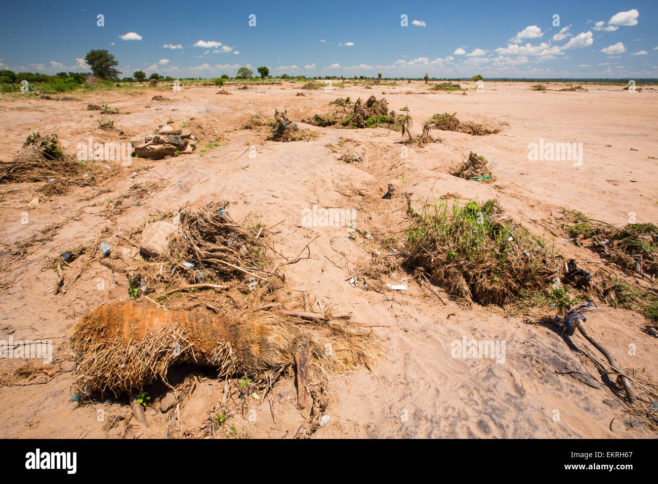 Mitte Januar 2015 ein Zeitraum von drei Tagen der übermäßige regen die kleinen armen afrikanischen Land Malawi beispiellose Überschwemmungen gebracht. Fast ein Viertel von 1 Million Menschen vertrieben, 64.000 Hektar Land verwüstet und mehrere hundert Menschen getötet. Diese Aufnahme zeigt Ackerland unter Flut Trümmer in Chikwawa begraben. Stockfoto