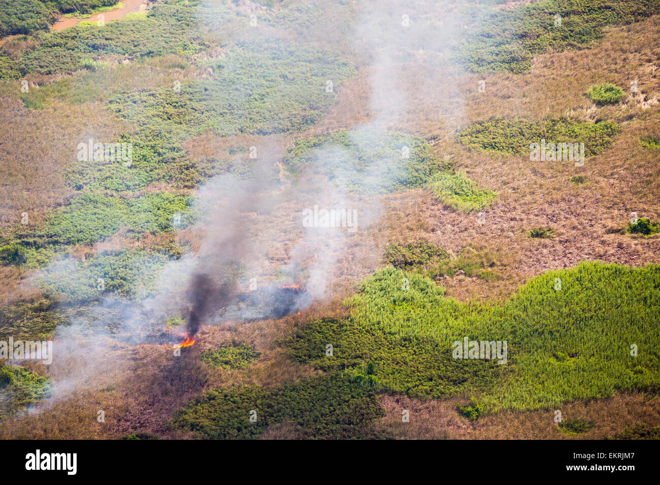 Blick von der Luft auf einem wilden Feuer in der Shire Valley, Malawi, Afrika. Stockfoto