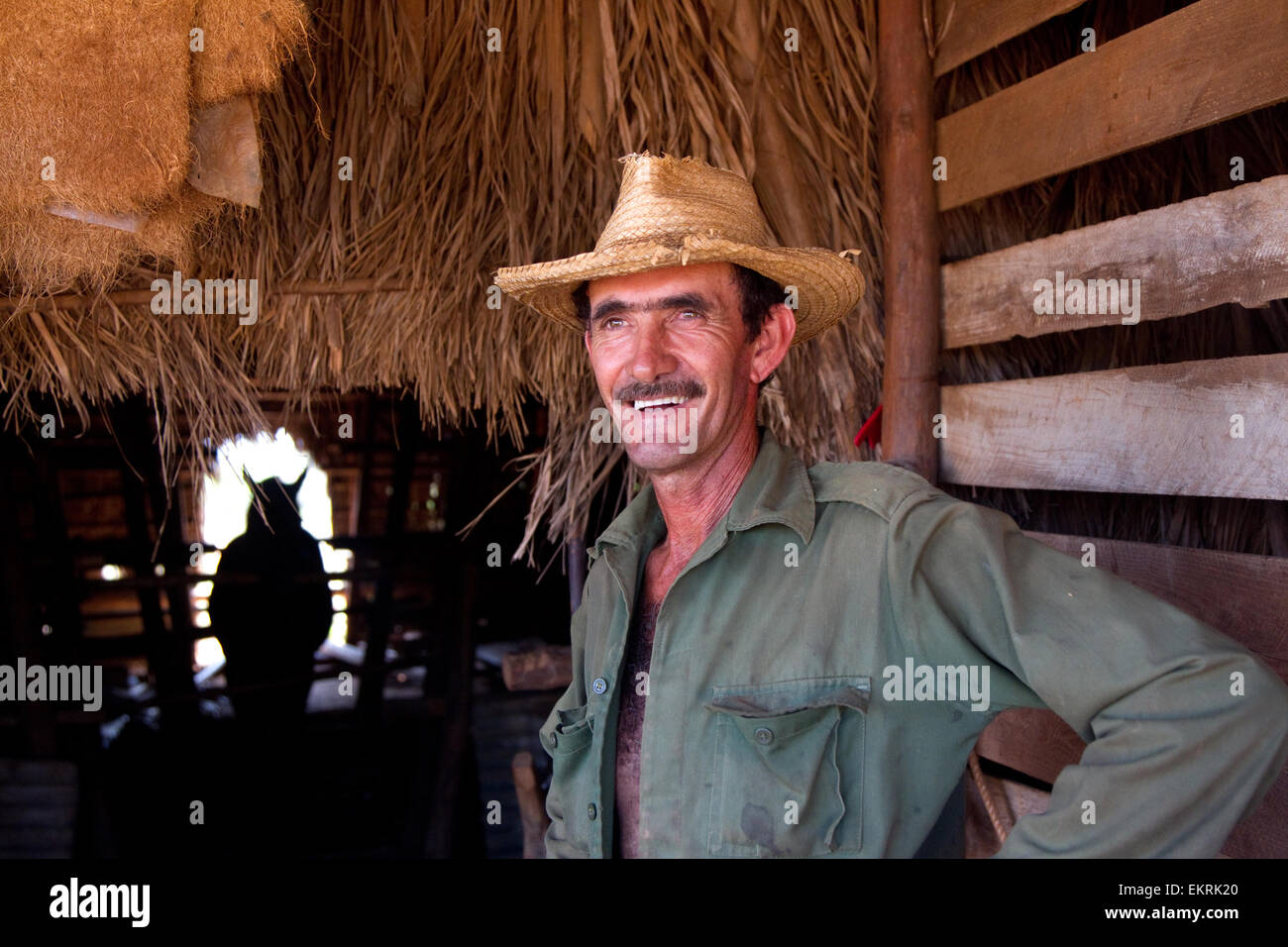 Ein Tabak-Bauer in seiner Scheune in Vinales, Kuba Stockfoto