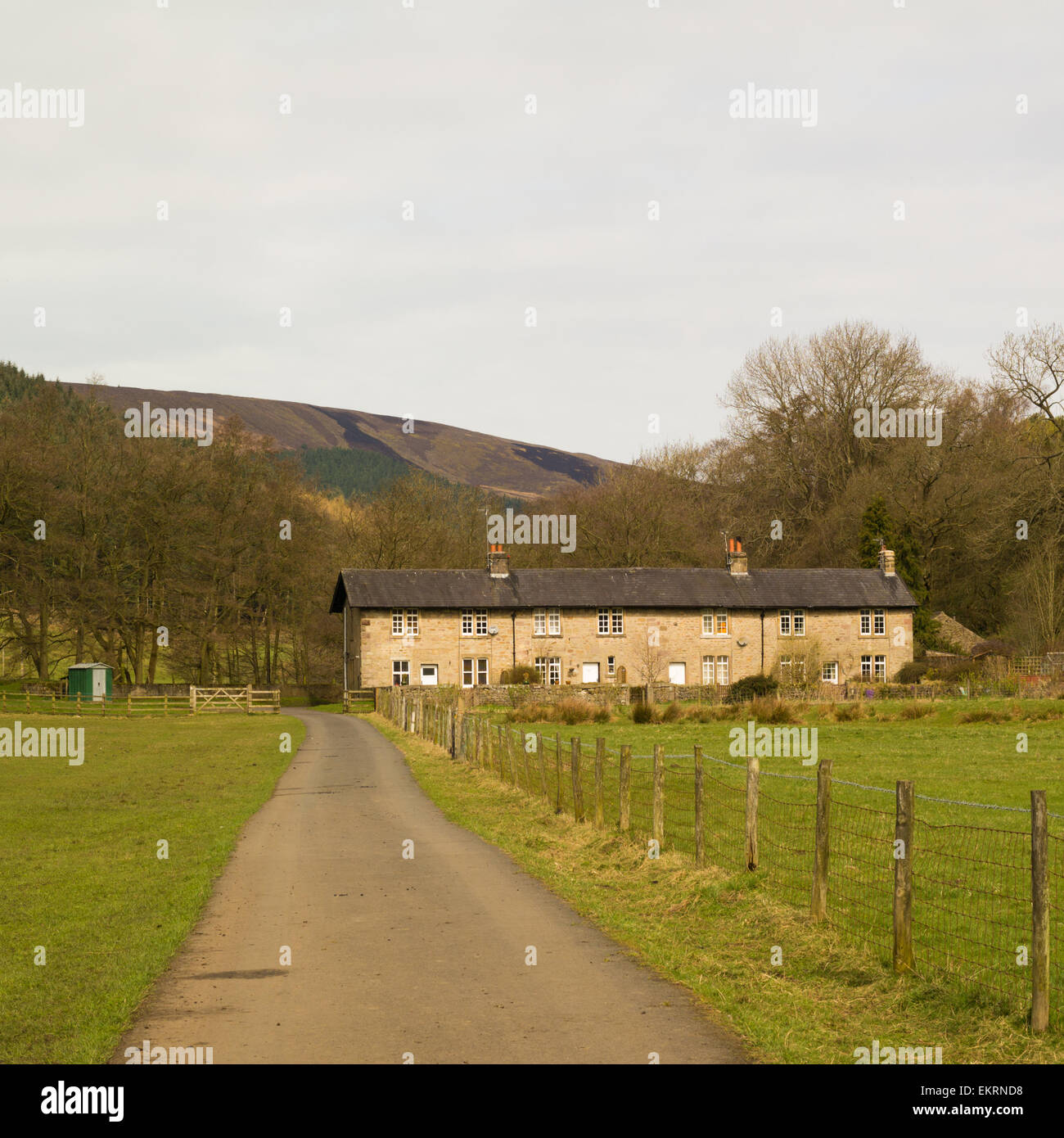 Reihe von abgelegenen Hütten im Wald von Bowland Stockfoto