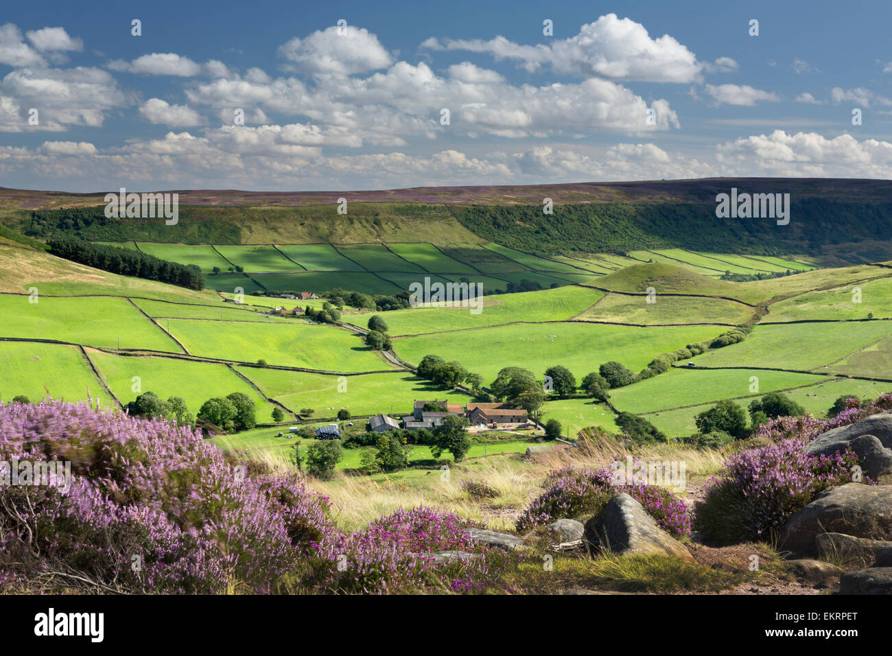 Fryupdale in der North Yorkshire Moors National Park, England. Stockfoto
