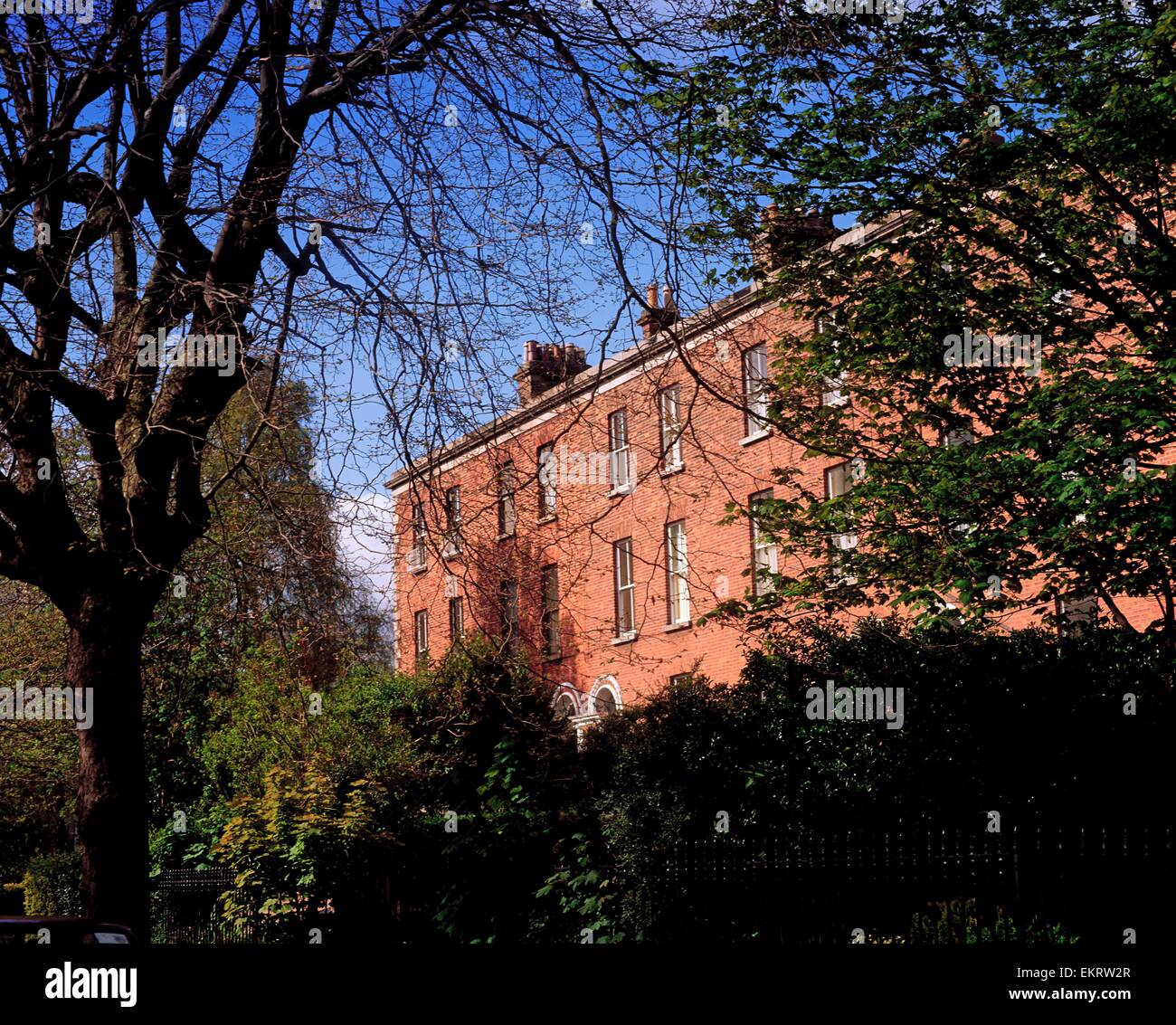 Georgischen Terrassen, Raglan Road, Dublin City, Irland Stockfoto