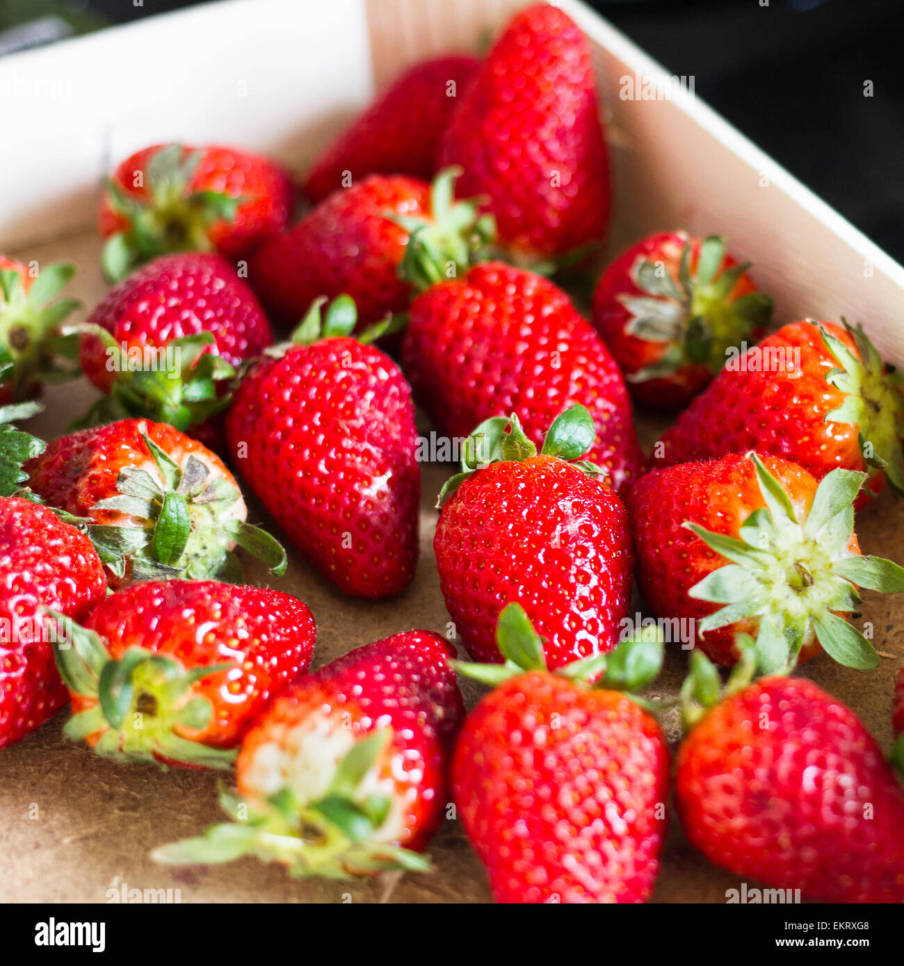 Nahaufnahme von frisch gepflückten Erdbeeren in hölzernen Trug. Stockfoto