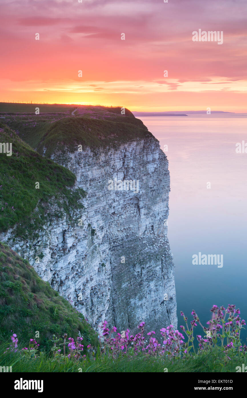 Sonnenuntergang und farbenprächtiger Himmel über hohen Kalkfelsen und ruhiges blaues Meer (malerische Küstenlandschaft) - Bempton Cliffs, Bridlington, East Yorkshire, England, Großbritannien. Stockfoto