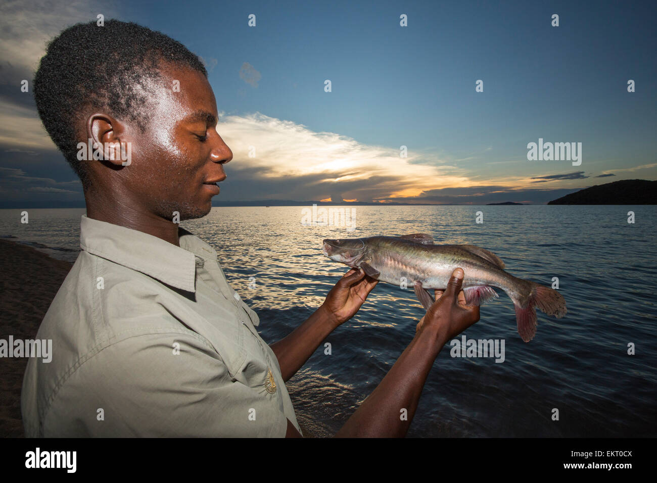 Ein Fischer am Cape Maclear am Ufer des Lake Malawi, Malawi, Afrika mit seinem Fang von Fischen. Stockfoto