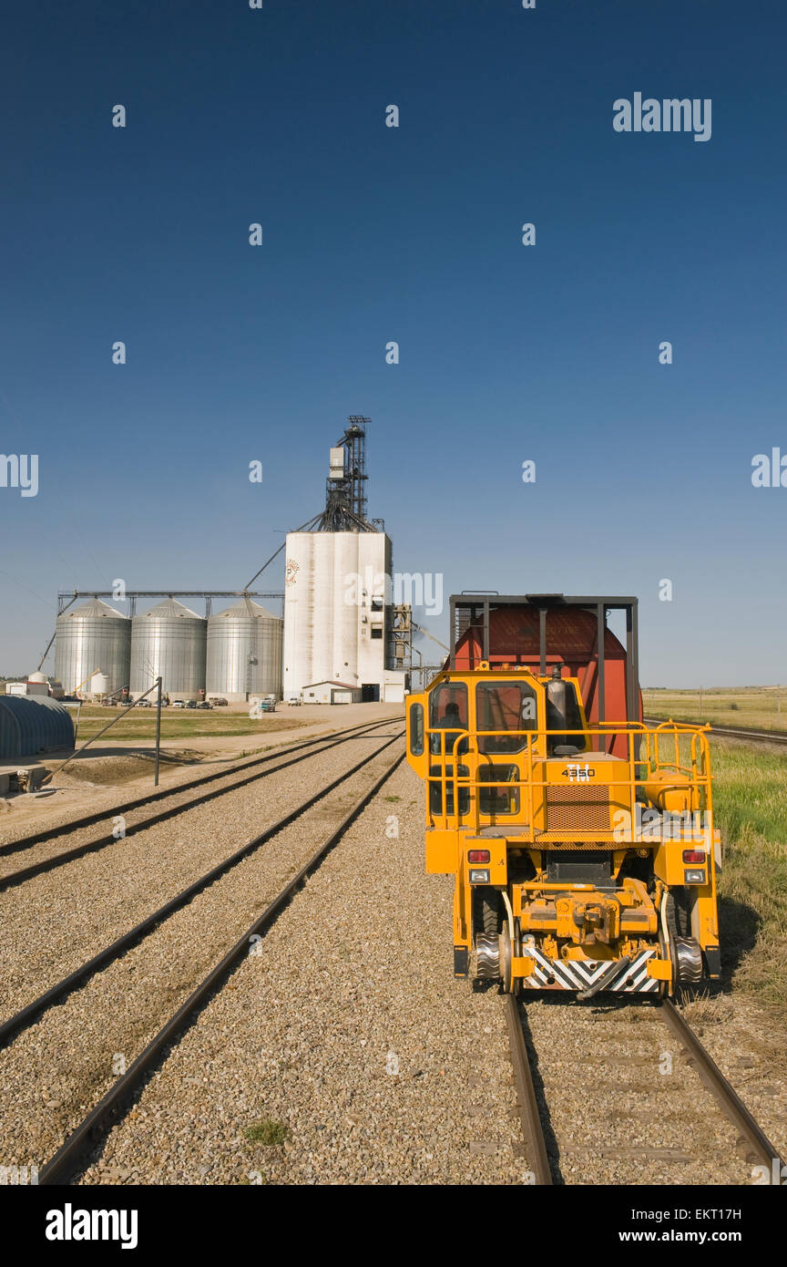 Wahl des Künstlers: Verladung Getreide im Inland Grain Terminal, Swift Current, Saskatchewan Stockfoto