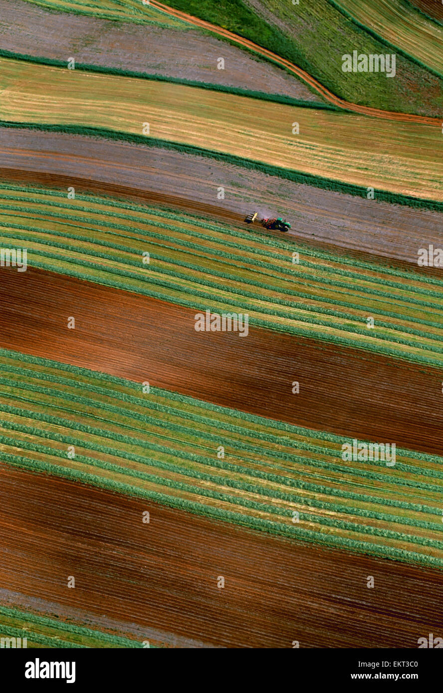 Luftaufnahme eines Traktors mit einem Anbaugerät disking und Pflanzer, die Pflanzen in einem einzigen Durchgang in Kontur-Streifen / Virginia, USA. Stockfoto