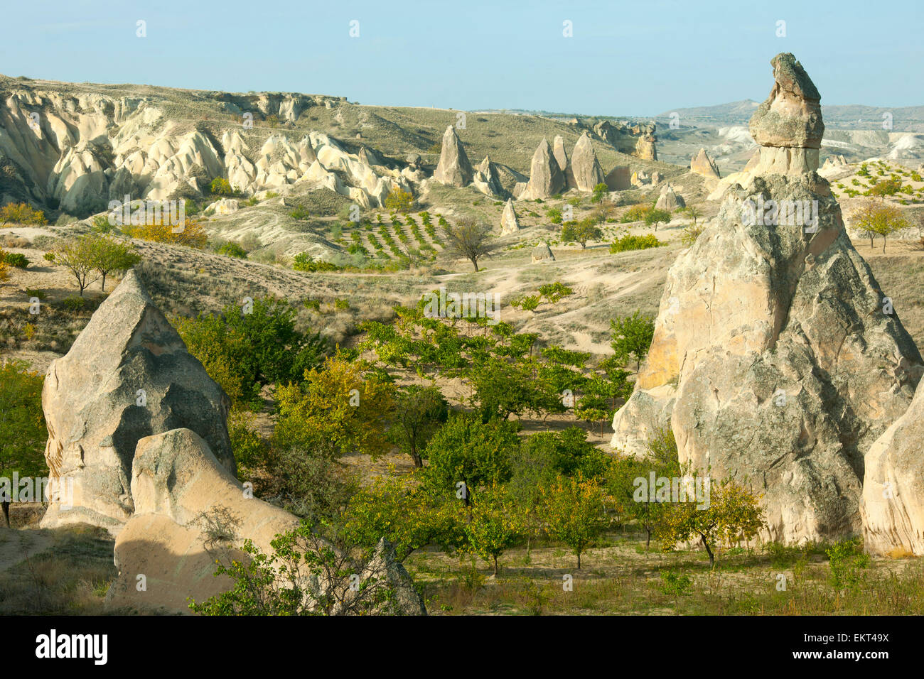 Ägypten, Zentralanatolien, Kappadokien, Landschaft eine der Strasse von Uchisar Nach Zelve Stockfoto