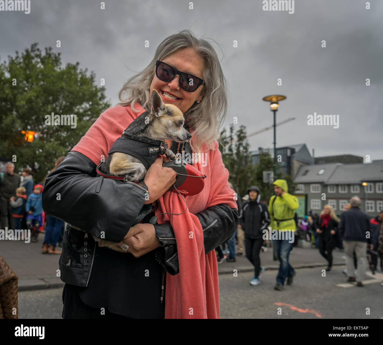 Frau mit einem kleinen Hund. jährliche Ende Sommer Festival - Kulturfestival (menningarnott), Reykjavik, Island Stockfoto