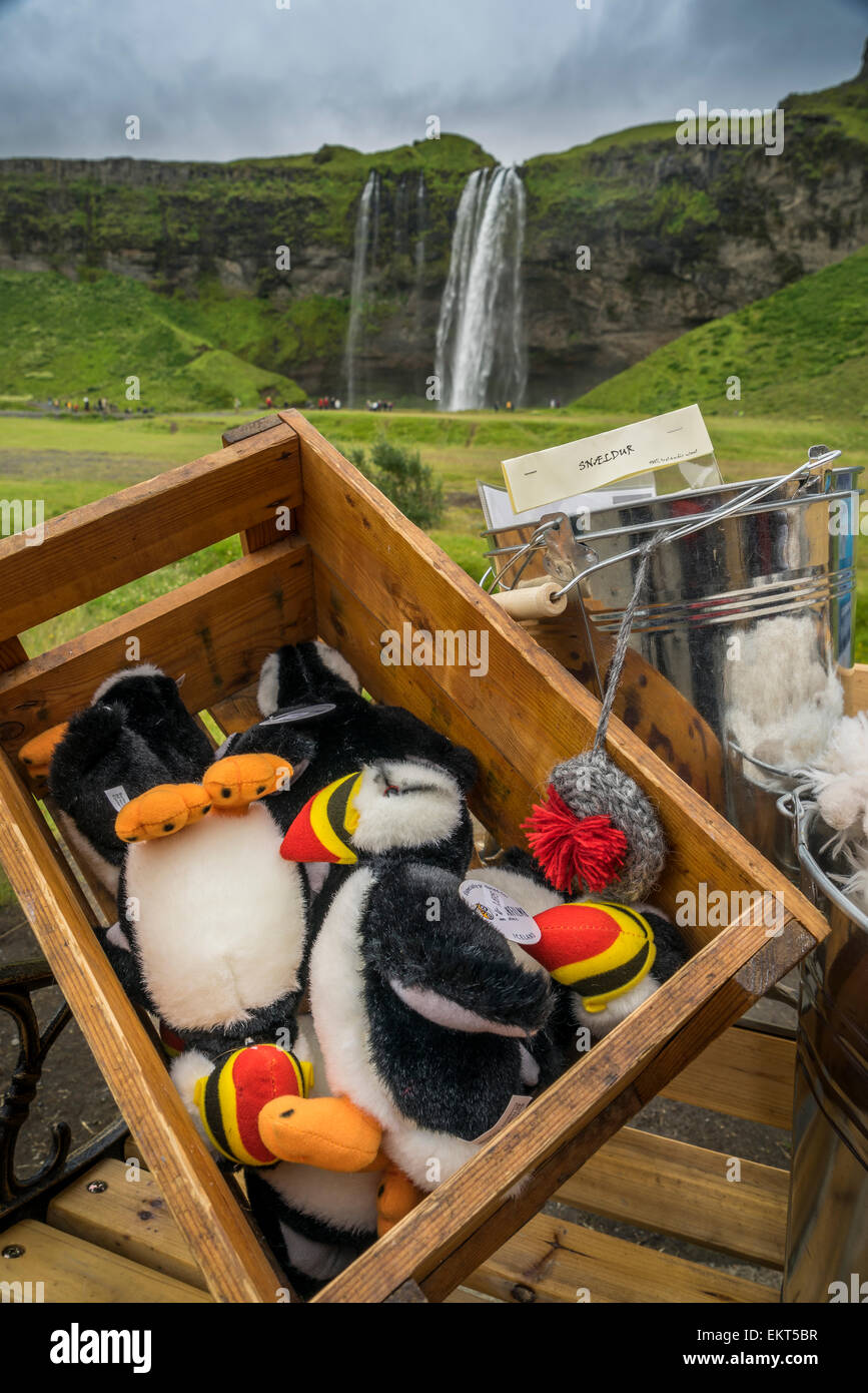 Erinnerung an Puffin ausgestopfte Tiere, Seljalandsfoss Wasserfall im Hintergrund, Island Stockfoto