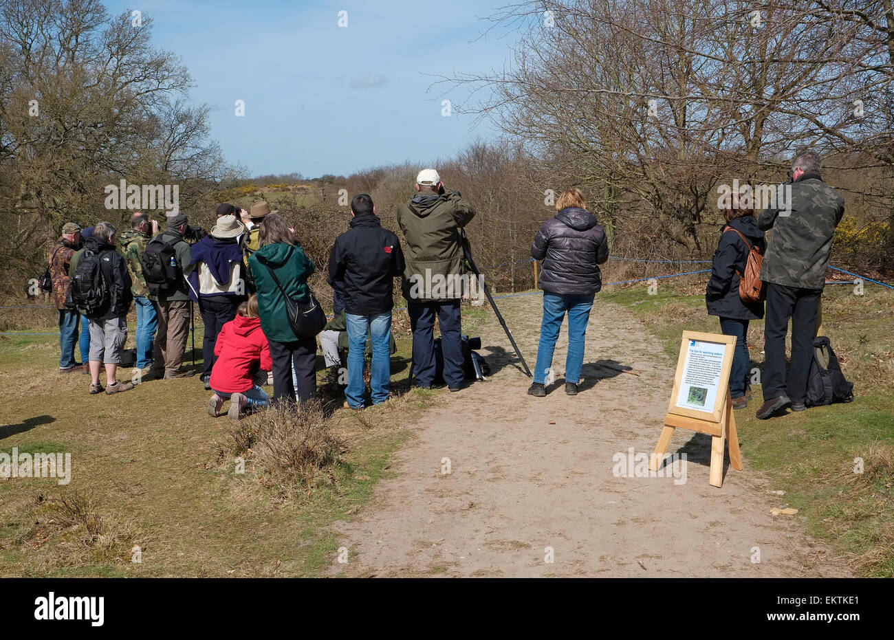 Minsmere Rspb Naturschutzgebiet, Suffolk, england Stockfoto