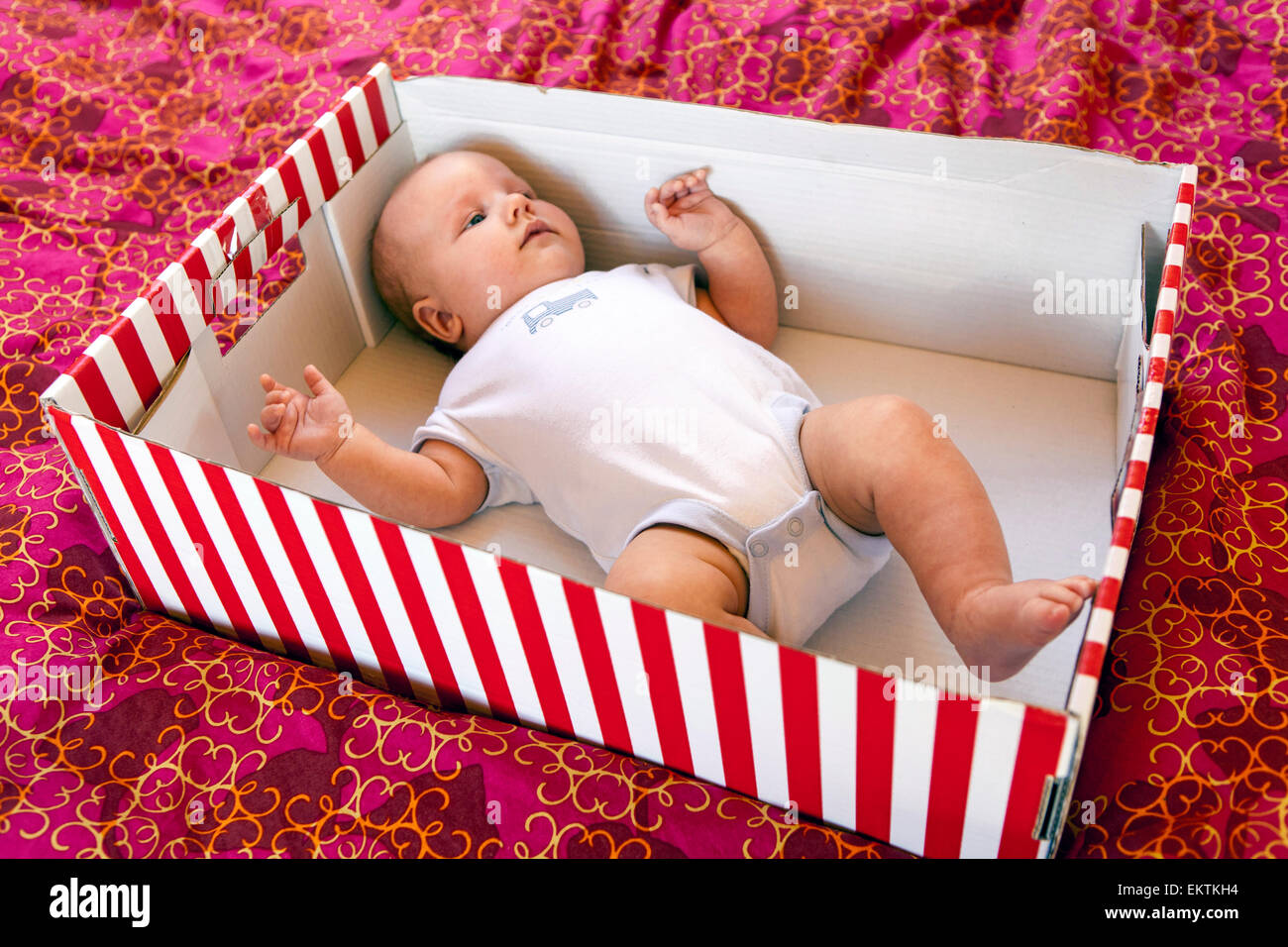 Baby in einem Karton Stockfoto