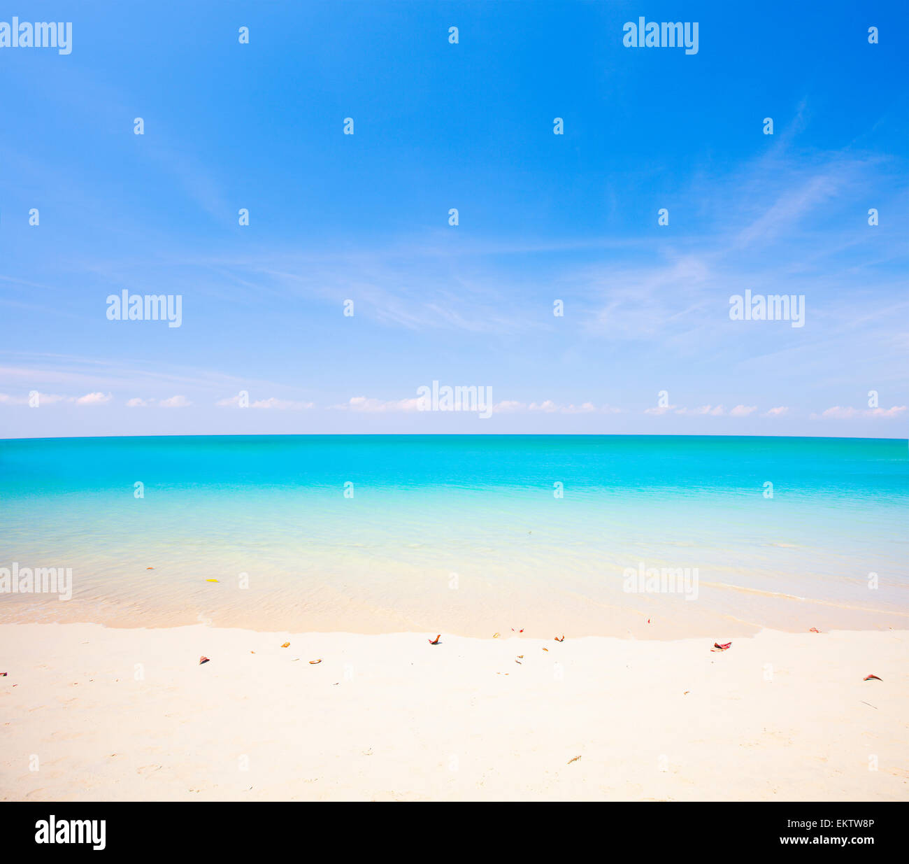 Strand und das tropische Meer Stockfoto