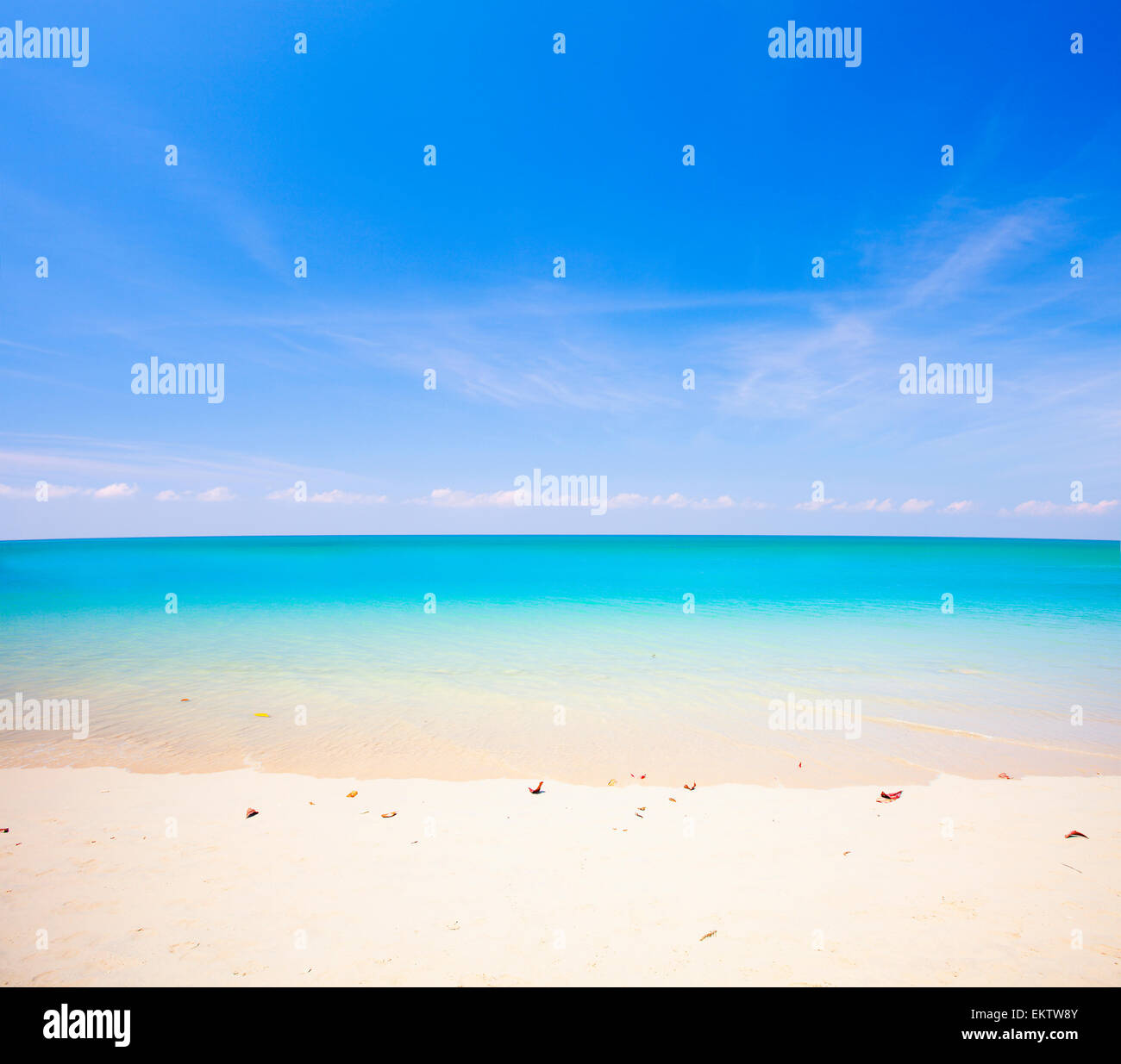 Strand und das tropische Meer Stockfoto