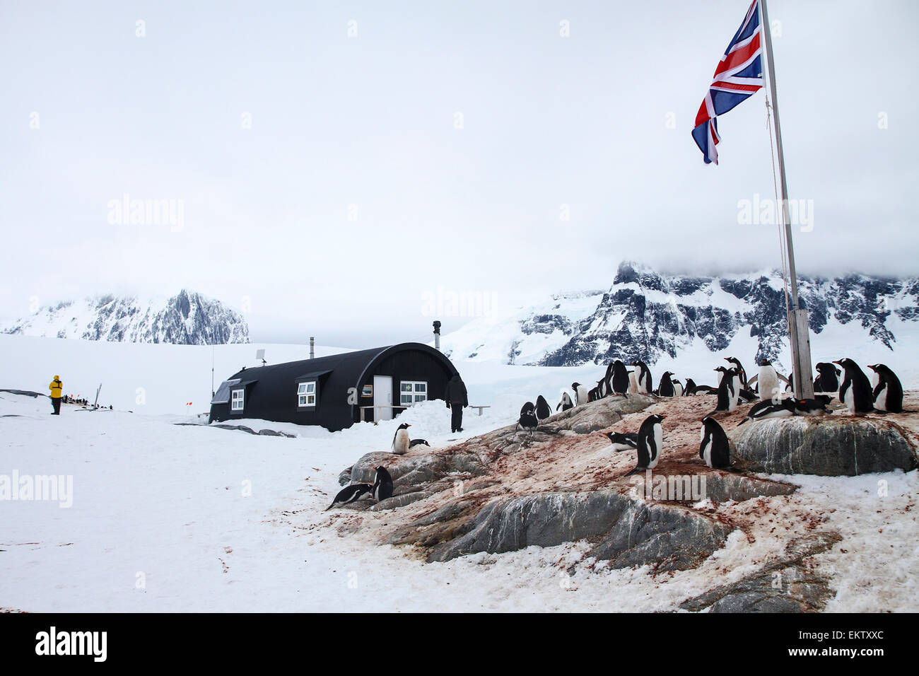 Port Lockroy, Antarktisvertrages historische Seite Nr. 61, britische Basis A. Die Basis war bis 1962, einschließlich der Fi für Forschung verwendet. Stockfoto