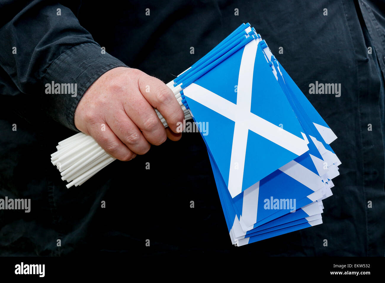 Mann hält eine Reihe von kleinen Kunststoff Saltire Fahnen, Schottland Stockfoto