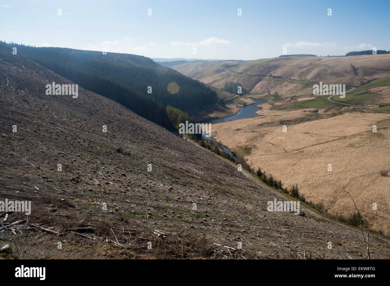 Entwaldung in abgelegenen walisischen Landschaft in der Nähe von Llyn Brianne Ceredigion Mid Wales UK Stockfoto