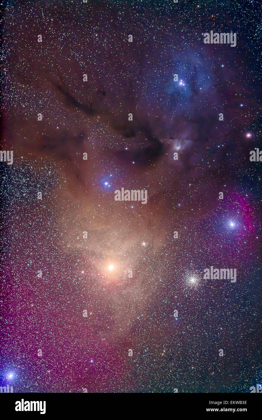 Die farbenfrohe Region um gelbe Antares (unten) in Scorpius und blauen Rho Ophiuchi (oben) in Ophiuchus. Der Nebel sind weitgehend Stockfoto