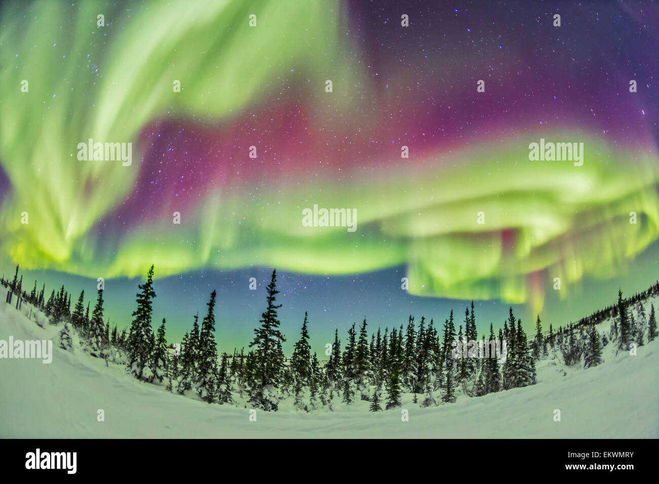 21. Februar 2015 - Aurora Borealis über Churchill, Manitoba, Kanada. Stockfoto