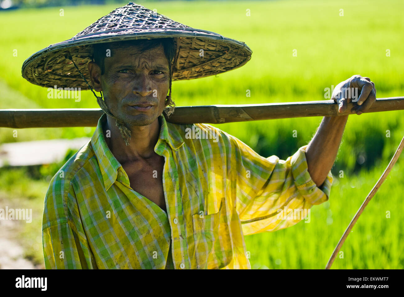 Ein Mann steht In einem Feld In einer ländlichen Gegend außerhalb Sylhet; Bangladesch Stockfoto