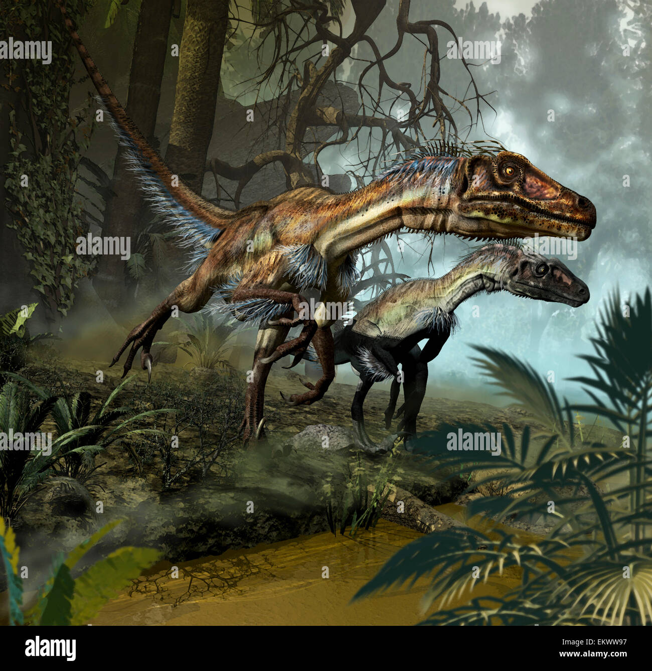 Ein paar Utahraptor Überquerung eines Baches. Stockfoto