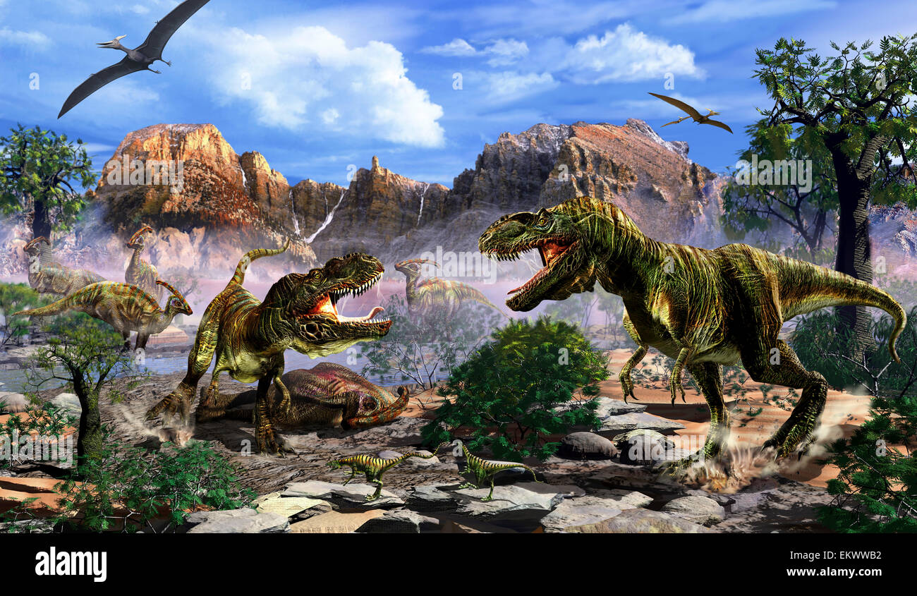 Zwei T-Rex Dinosaurier kämpfen über einen Toten Kadaver. Stockfoto