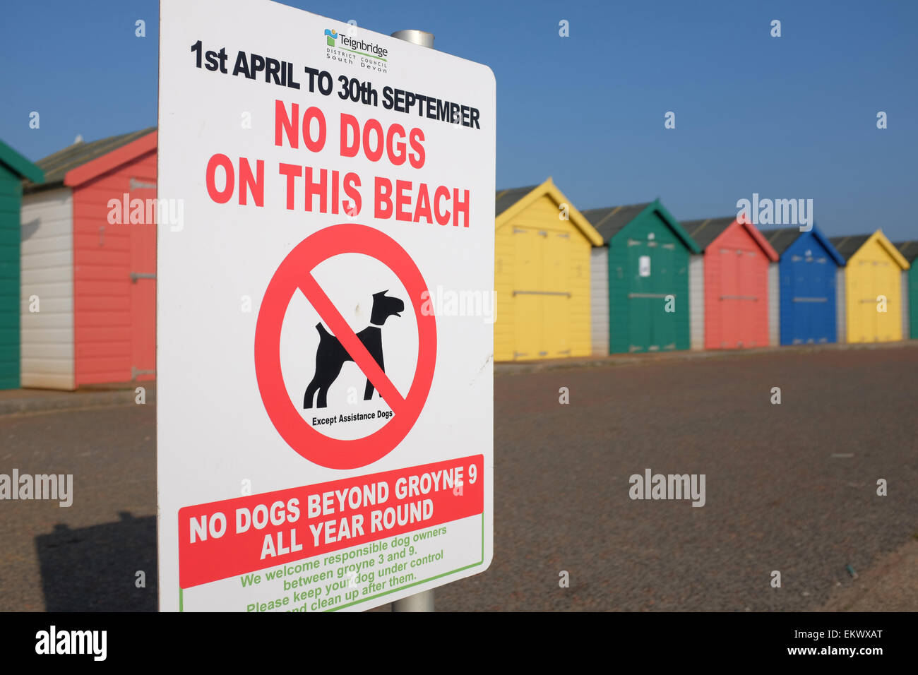 Keine Hunde erlaubt am Strand Zeichen gegen hell farbigen Strandhütten in Dawlish Warren Devon England UK Stockfoto