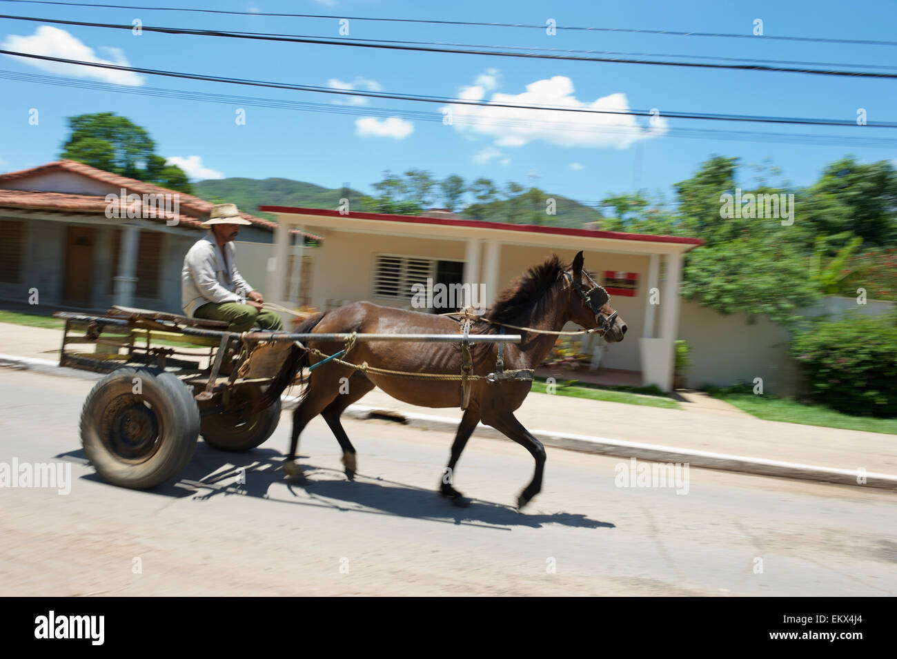 VINALES, Kuba - 20. Mai 2011: Traditionelle Pferd und Buggy fährt entlang einer ruhigen Straße durch den traditionellen Stadtkern. Stockfoto