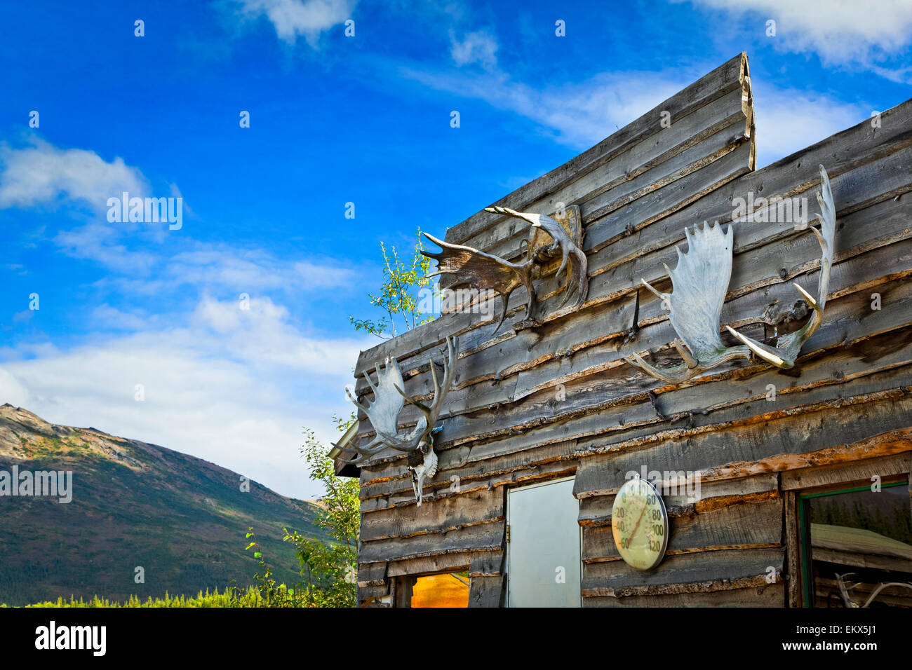 Historischer Bergbau Hütten in Coldfoot Camp, Coldfoot, Meilenstein 175 auf den Dalton Hwy, Arktis Alaska, Frühherbst. Stockfoto