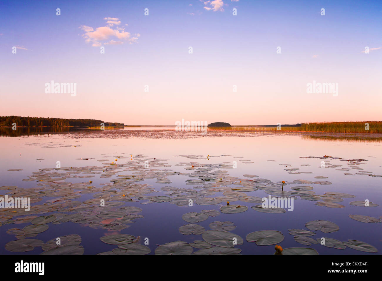 See vor Sonnenaufgang Stockfoto