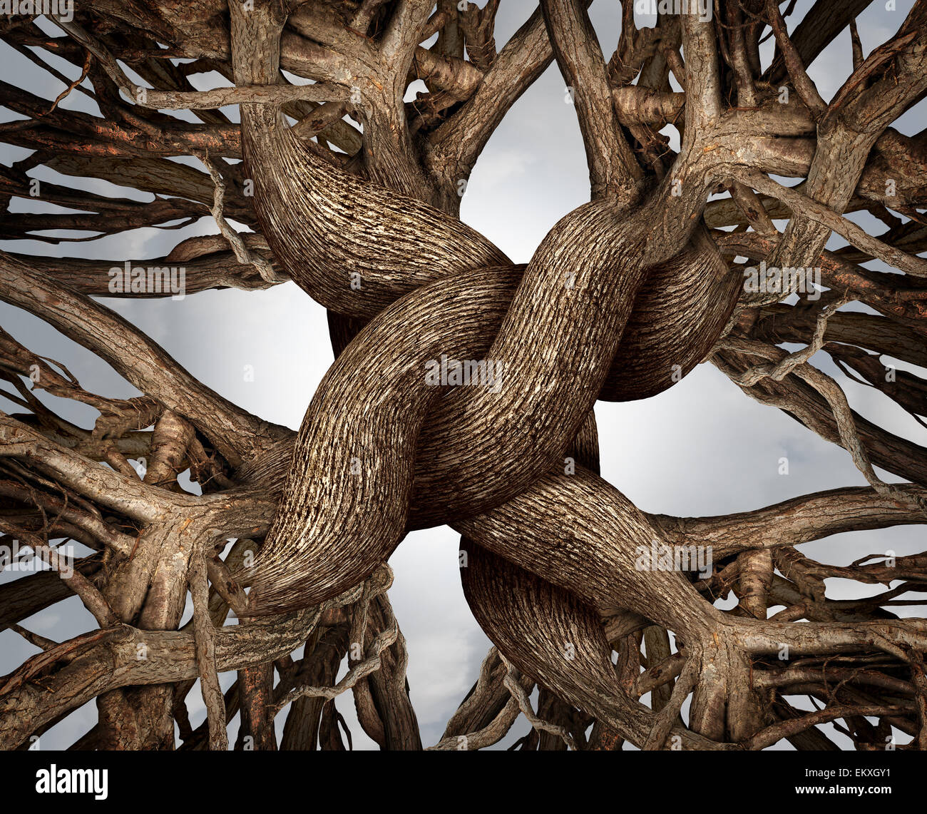 Einheit-Symbol als ein ewiger Knoten des Vertrauens gemacht aus den Wurzeln und Stämmen der Bäume wachsen als Gemeinschaft oder geschäftliche Freundschaft Konzept für die Kraft der Zusammenarbeit und Solidarität arbeiten zusammen für soliden Erfolg und Wachstum. Stockfoto