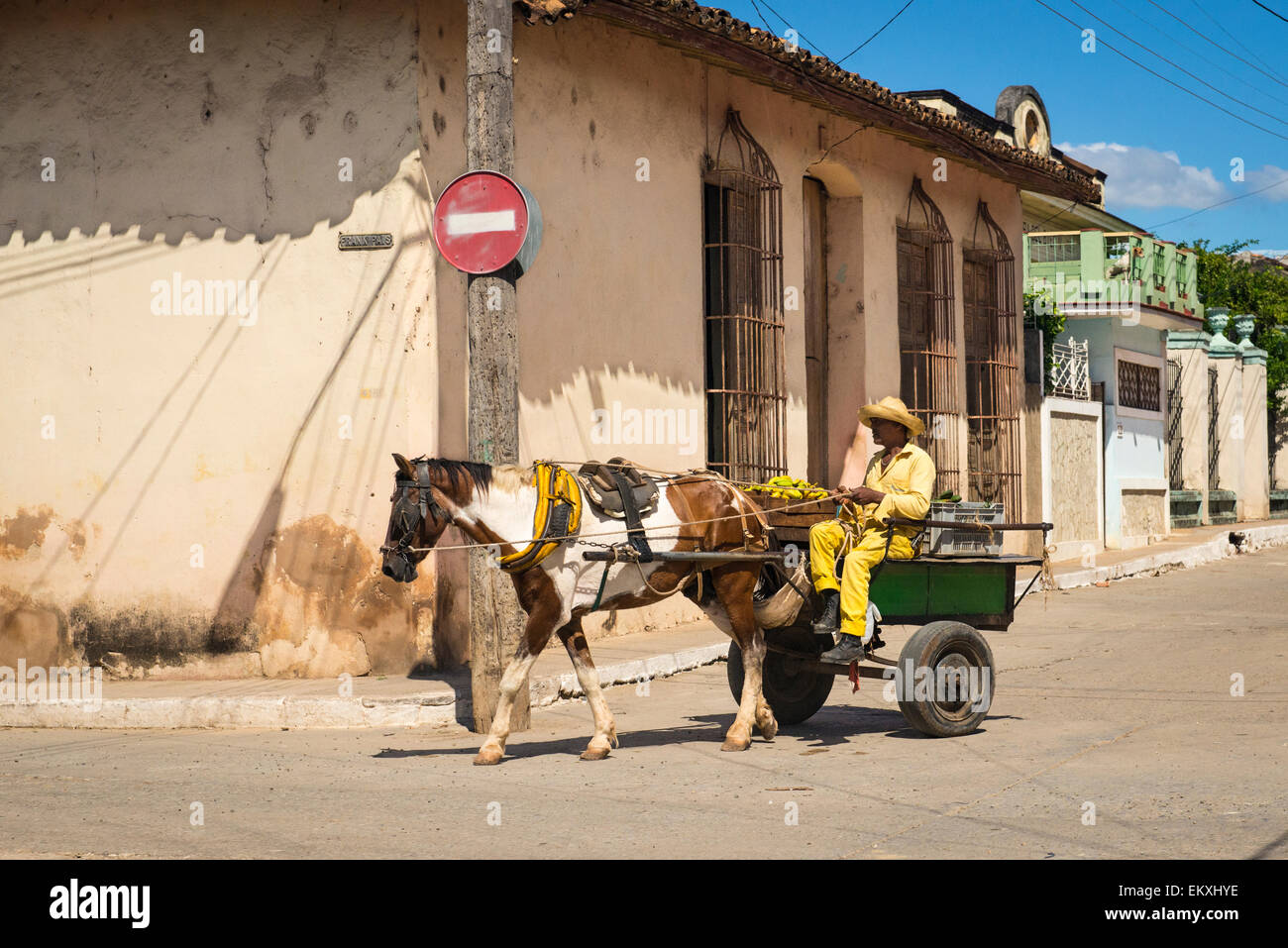Kuba-Trinidad typischen Straße Straße Szene Pferd & Warenkorb Zweirad Fahrer Landwirt? gelbe Bananen Stockfoto