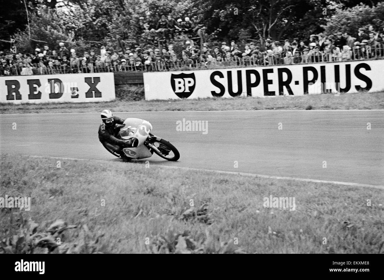 Motor Cycle Racing am Oulton Park. Phil Read in Aktion in der zweiten Runde des Rennens 350 cc Klasse. 7. Juli 1963. Stockfoto