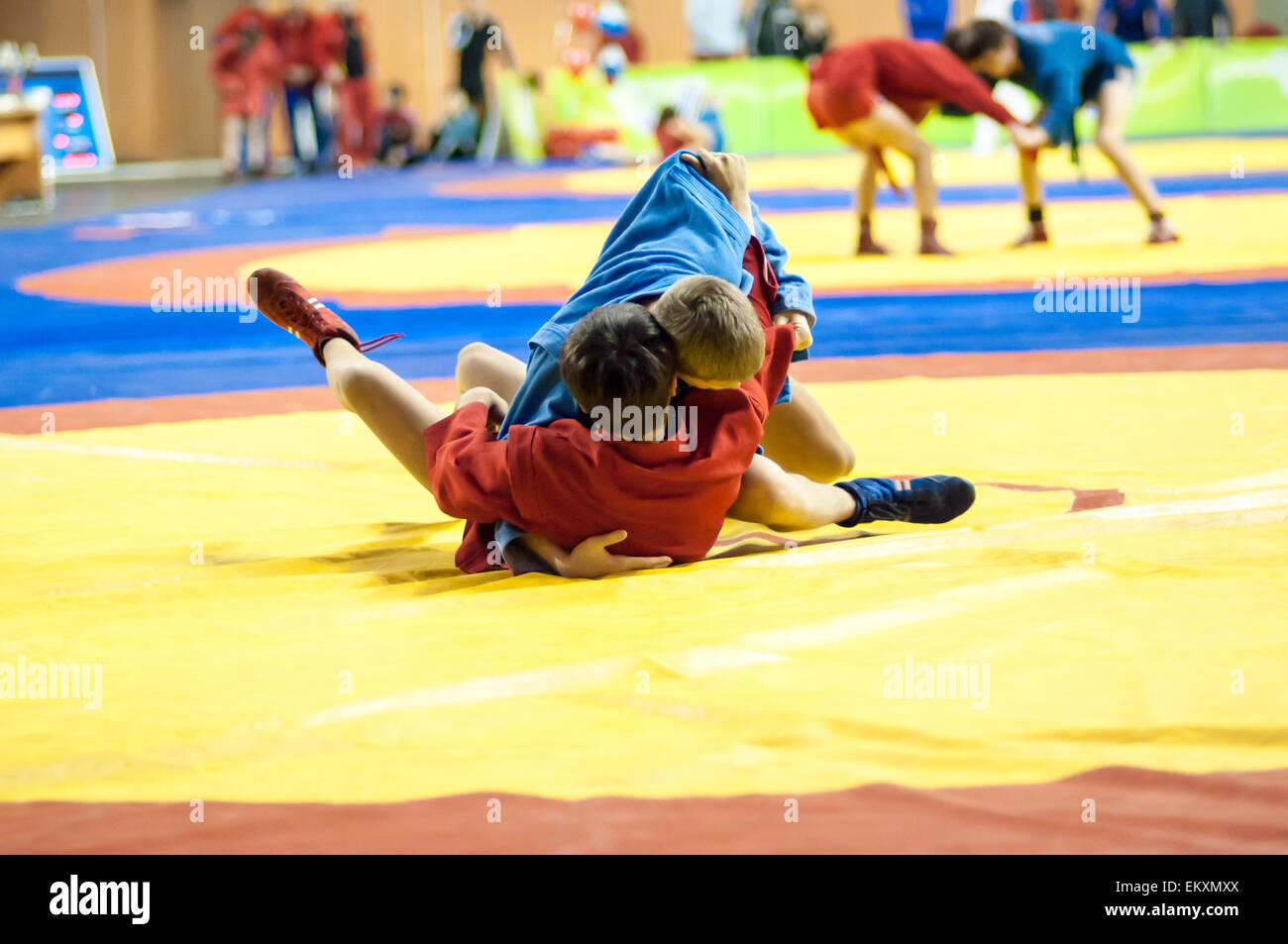 Orenburg Sambo Meisterschaft auf dem 75-Jahrestag der russischen Sambo Federation. 17.11.2013, Stadt Orenburg, südlichen Ural, Russland Stockfoto