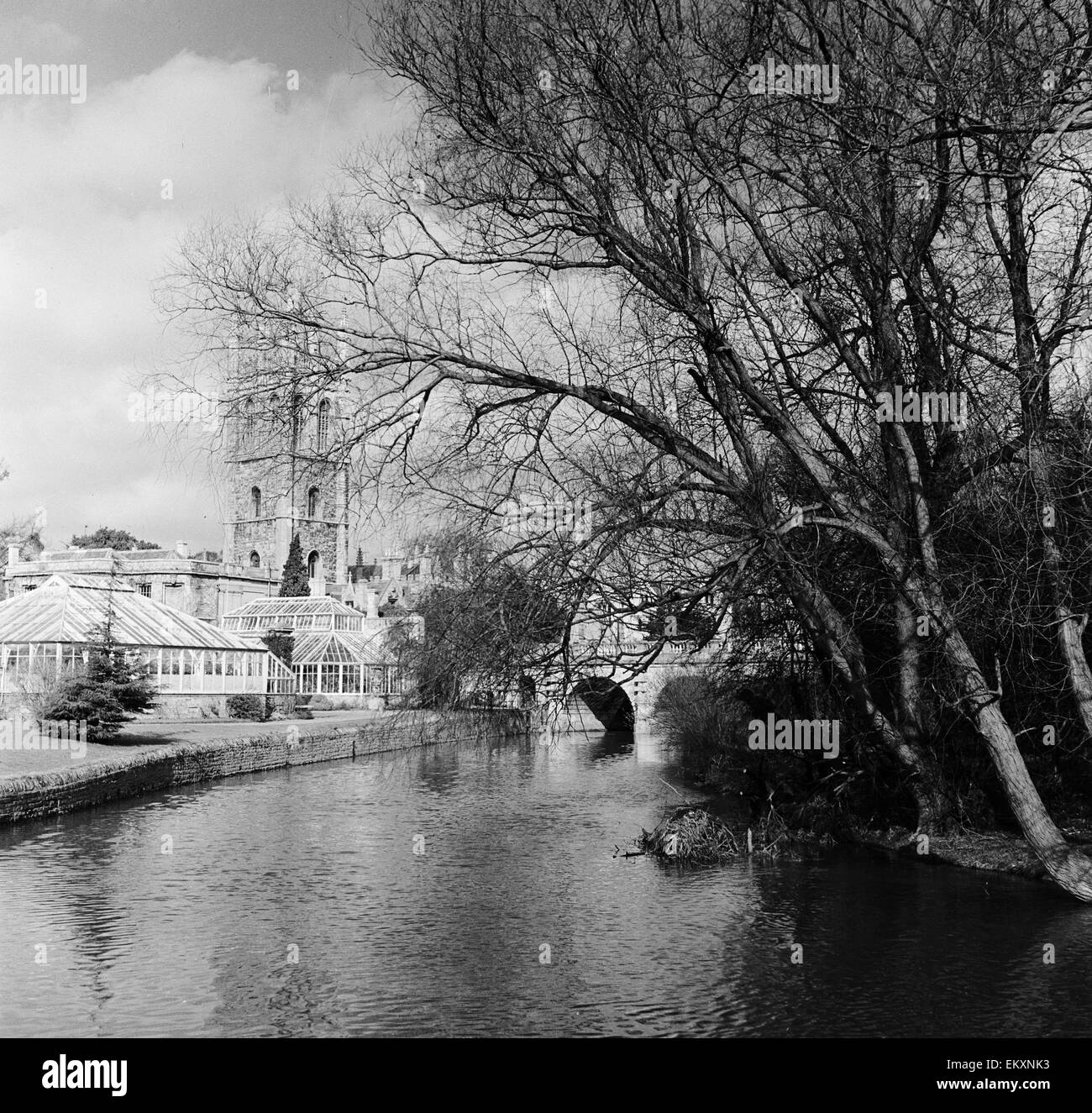 Blick auf Magdelan Turm und Brücke in Oxford. 2. März 1953. Stockfoto