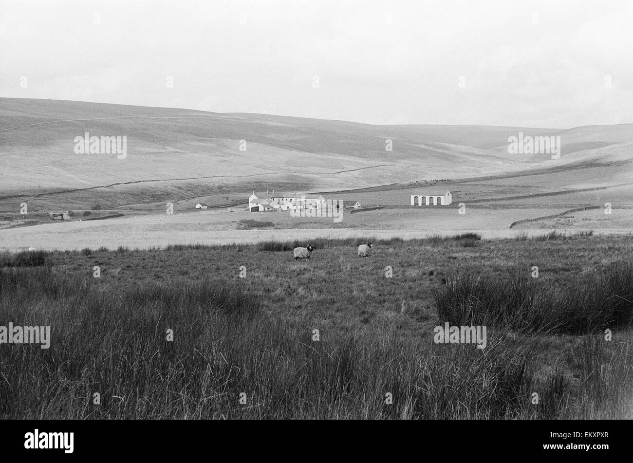 Middleton Common, Middleton, Youlgrave, Derbyshire. September 1971 Stockfoto