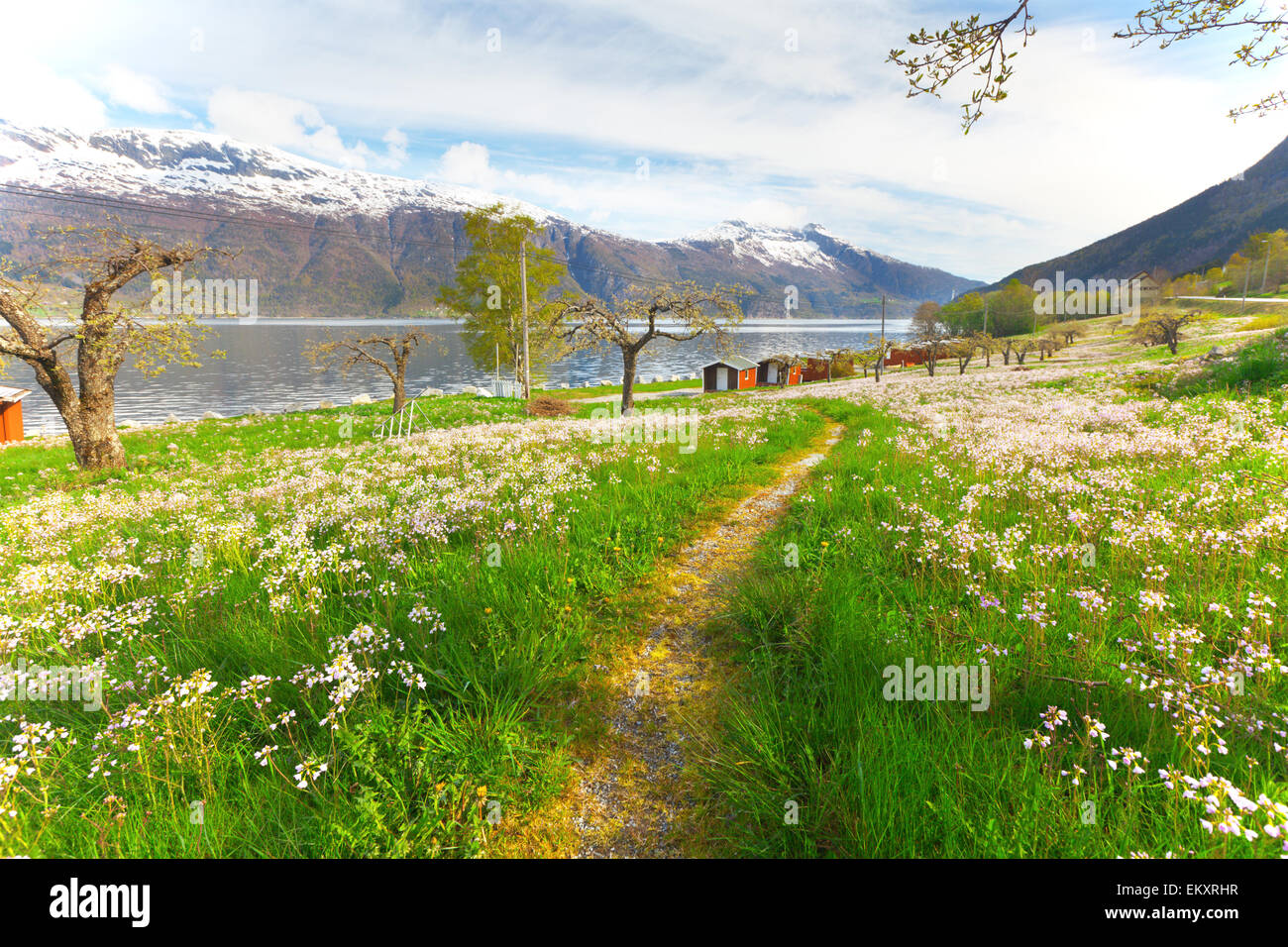 schöner Garten in Norwegen Stockfoto