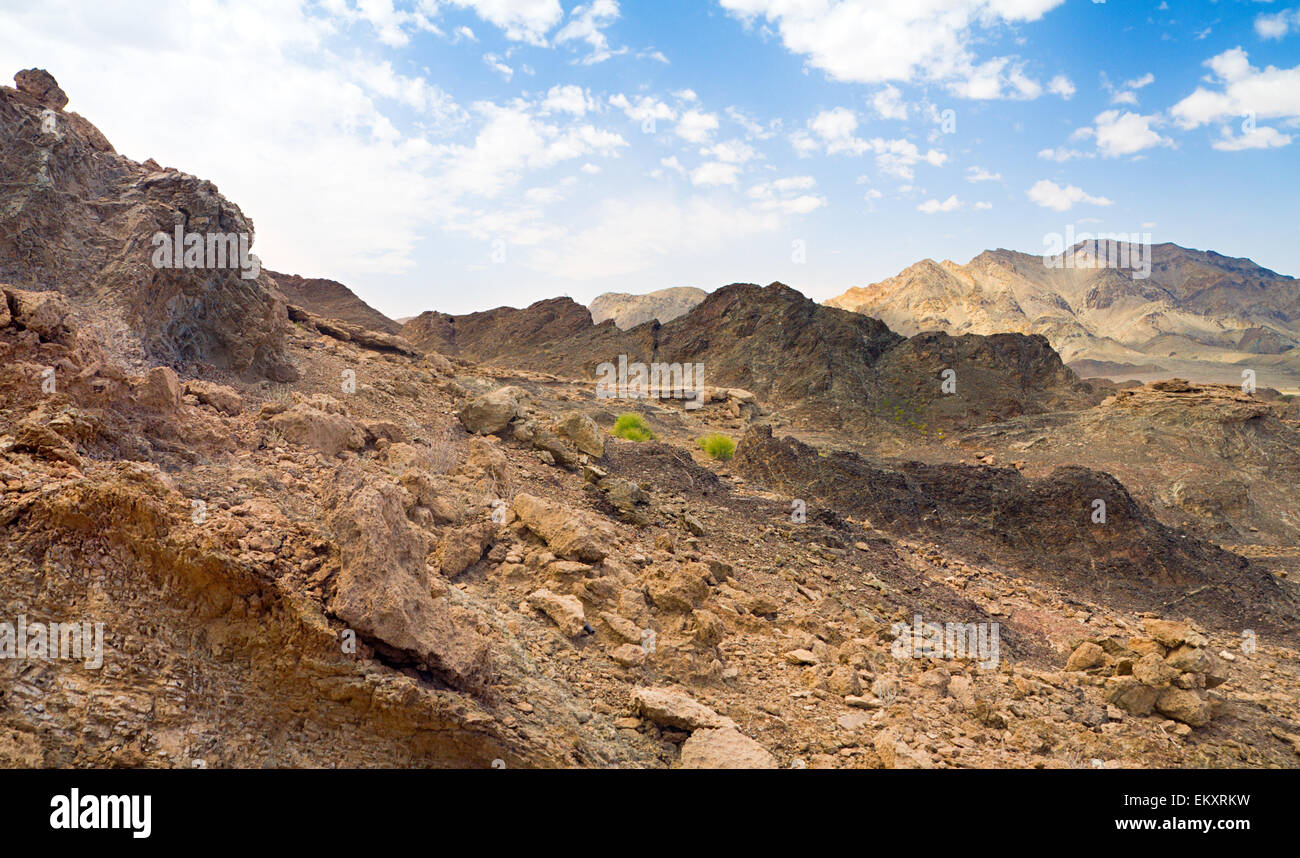 Stein Wüste Rub' al Khali, Vereinigte Arabische Emirate Stockfoto